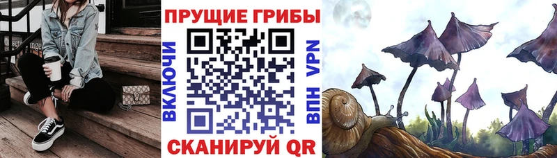 Галлюциногенные грибы ЛСД  Моршанск 