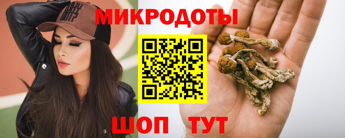 Псилоцибиновые грибы мицелий Моршанск
