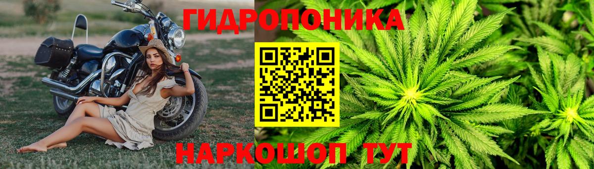 МАРИХУАНА план  МАРИХУАНА план  МАРИХУАНА MAZAR  Бошки Шишки марихуана  Моршанск  Вход с VPN 